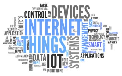Internet of Things and Small Companies: Growth at its Best