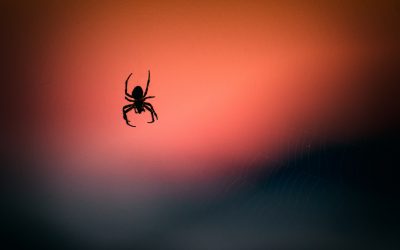 What is the Ryuk Ransomware? Deadly Malware on the Run