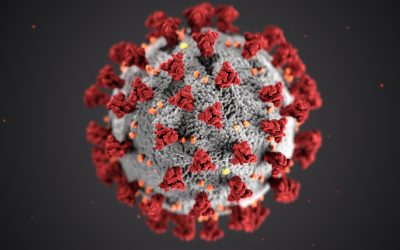 Coronavirus Email Scams are Trying to Cash in on Your Fear