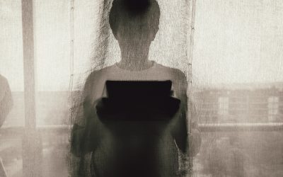 Spoofing & Pharming: Discover how Fake Websites Steal What’s Yours in 2020
