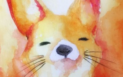 Firefox 81 Update Includes New Theme and UI Improvements
