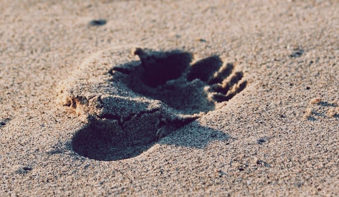 Tailgating & Piggybacking