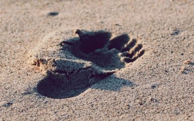 Tailgating & Piggybacking on Cybersecurity [2022]